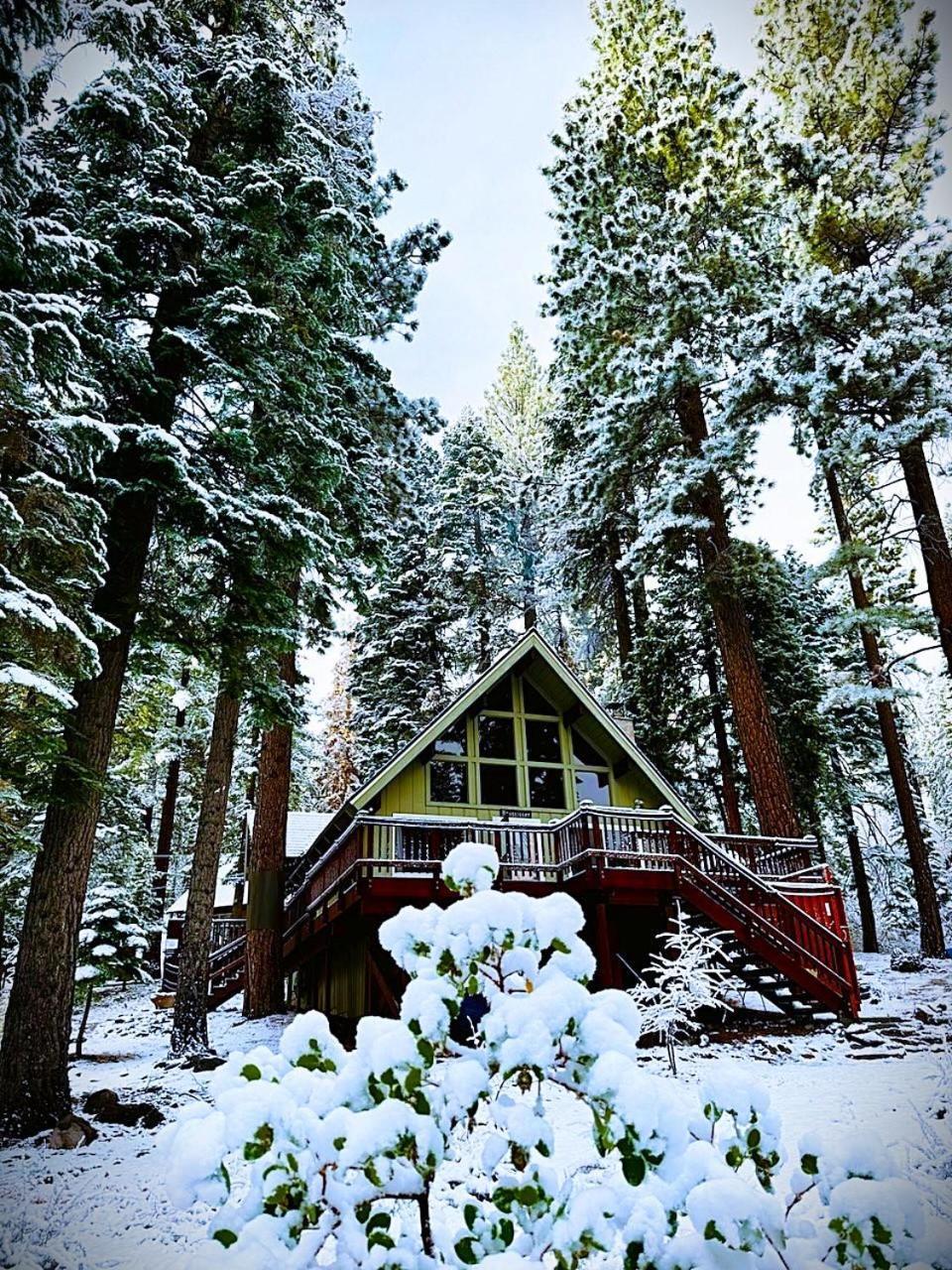 The Honey Bear Cabin Carnelian Bay Exteriér fotografie